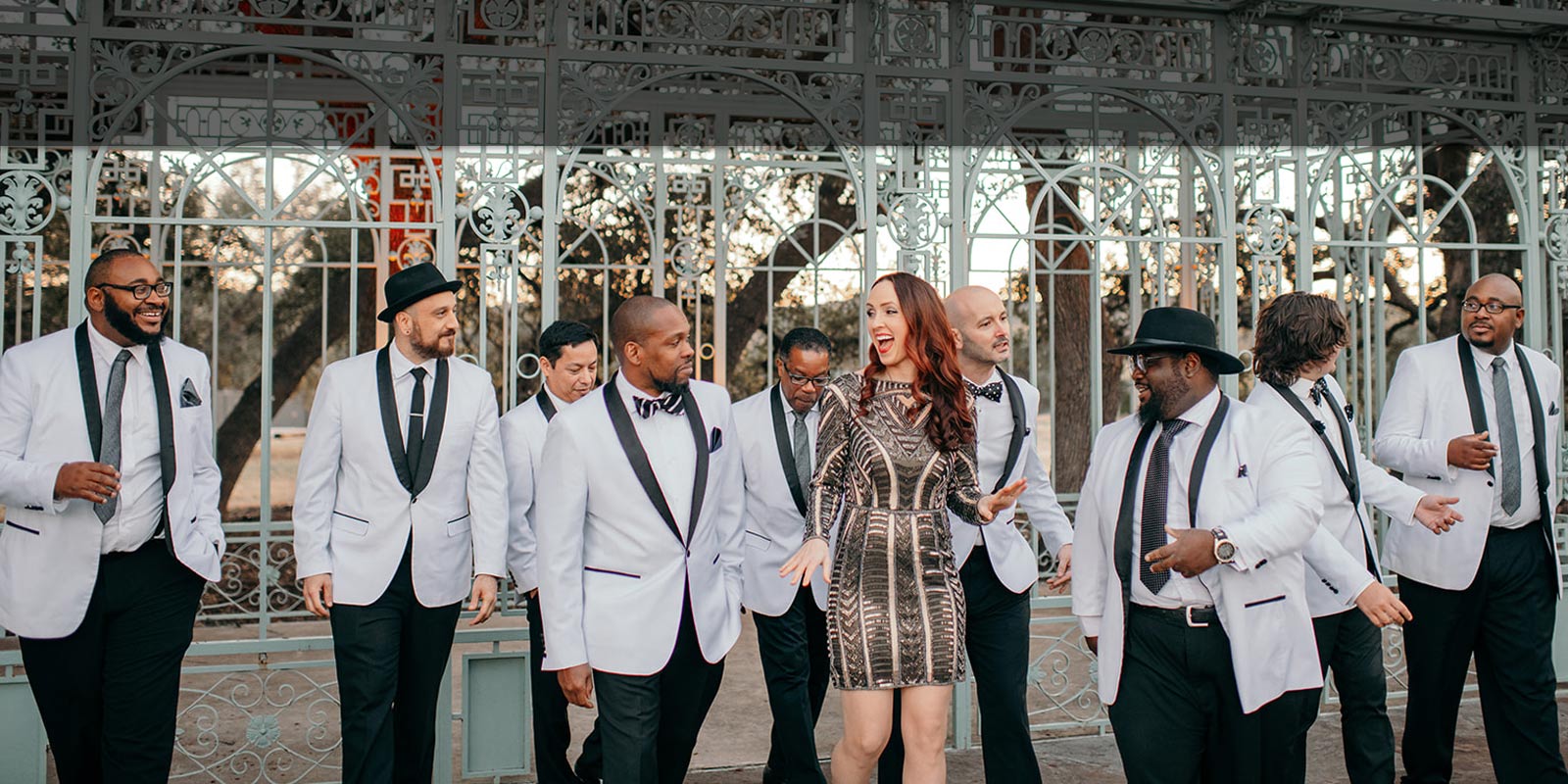 Plush Party Band performing live